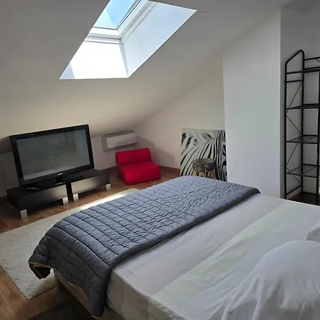 Maison Agréablement Chaleureuse Albi