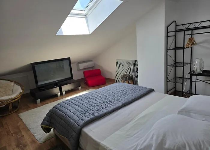 Maison Agréablement Chaleureuse Albi