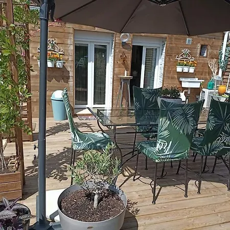 Maison Agreablement Chaleureuse * Albi